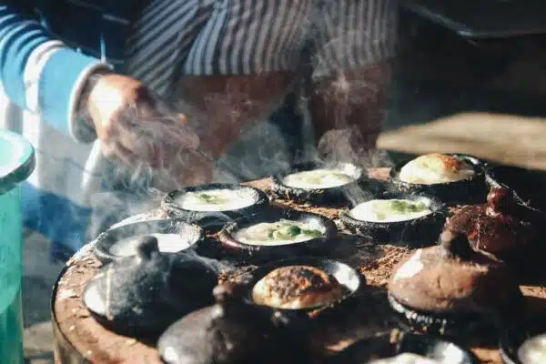 Adoptez une cuisine éco-responsable : découvrez les essentiels pour une cuisine sans déchet