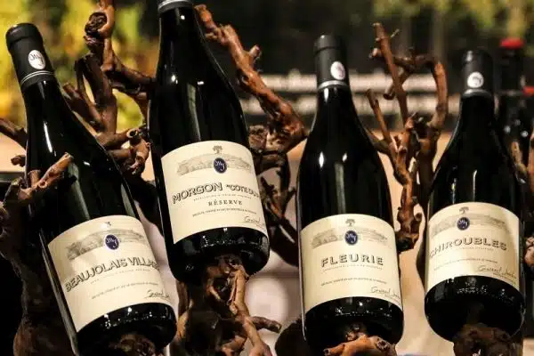 Les vins du Beaujolais, un plaisir pour le palais