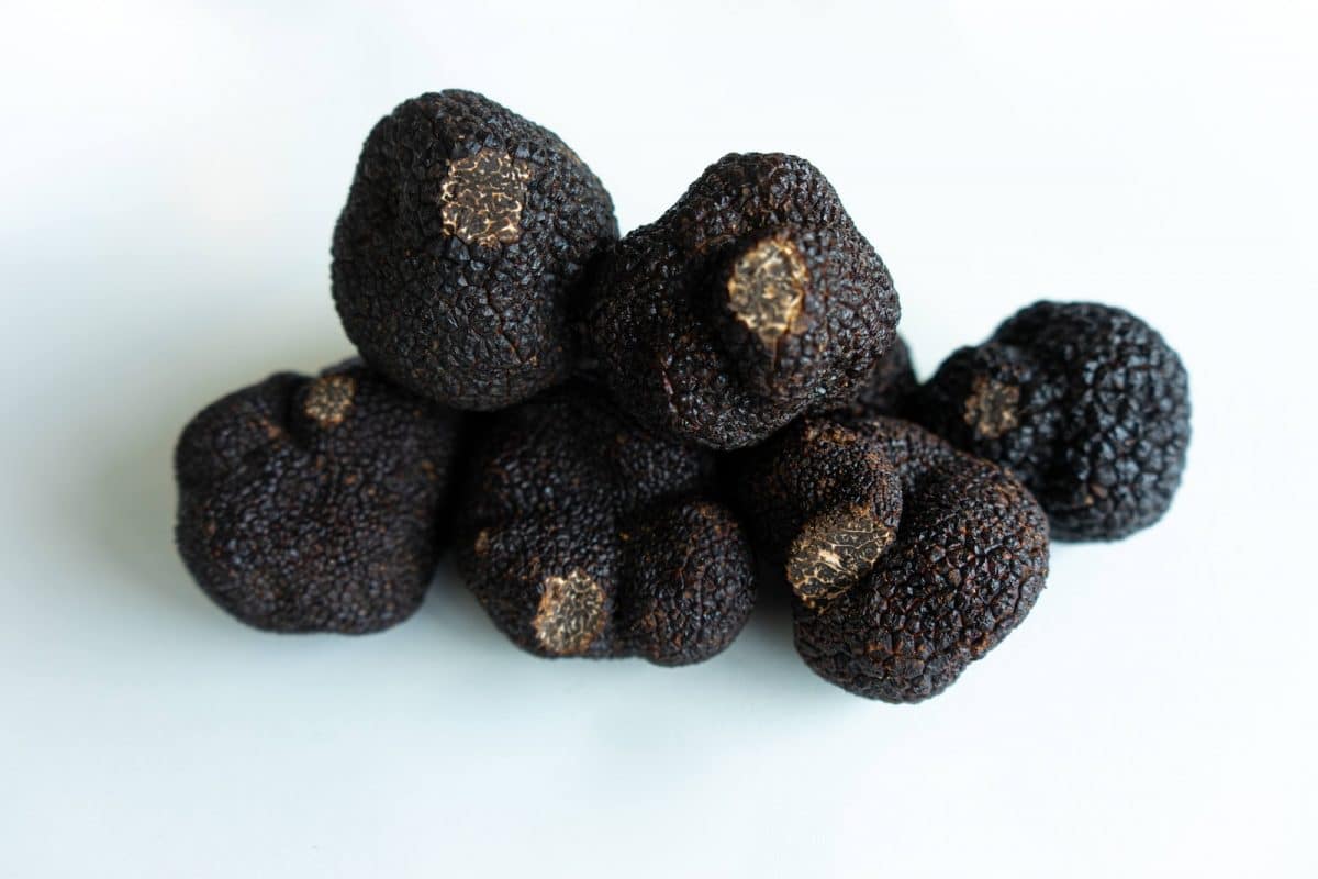 Truffe noire