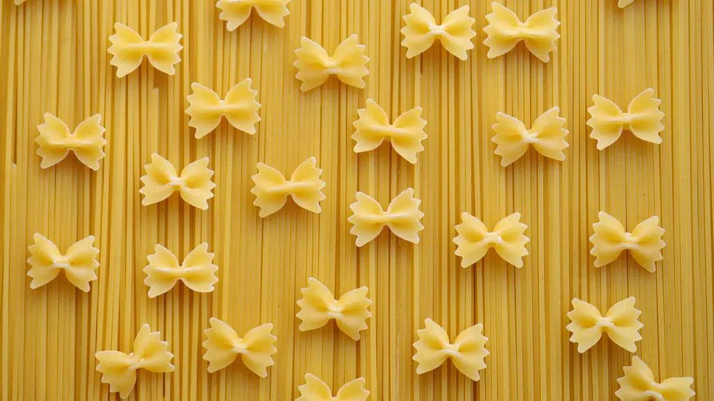 L’essentiel à connaitre sur une machine à pâte